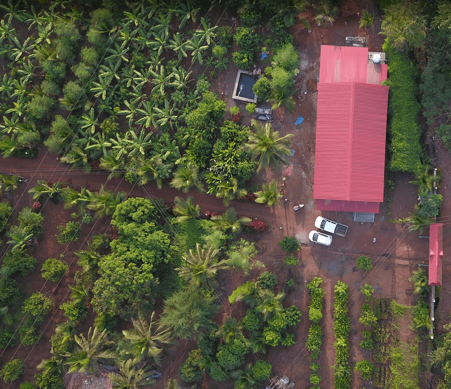 Aerial view of Surangichi Foli estate, Dharbandora, Goa