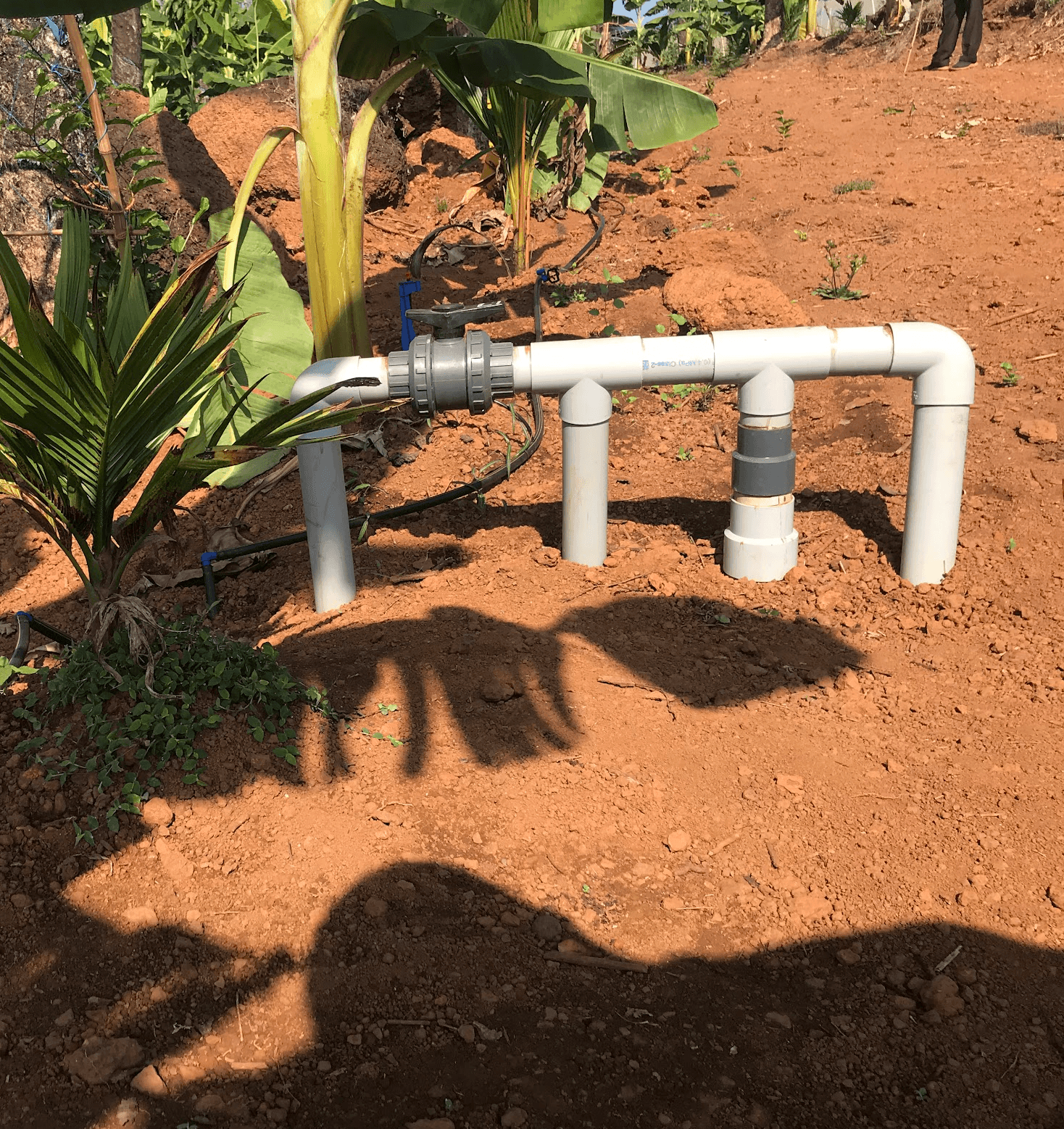 A high-capacity irrigation manifold on the estate