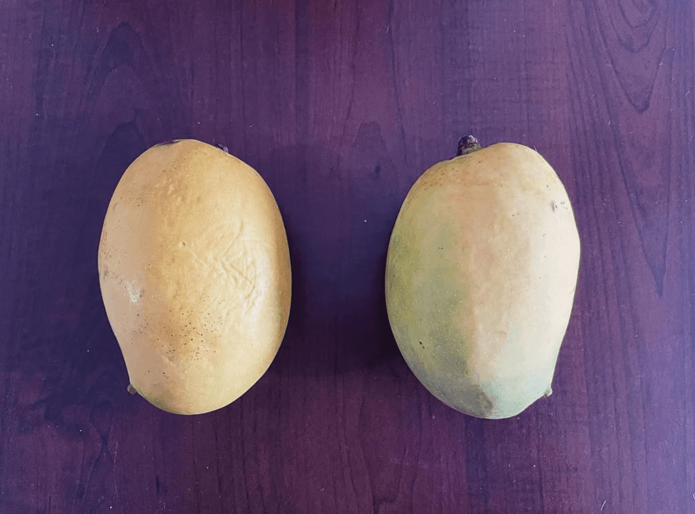 Two ripe mangoes from the estate